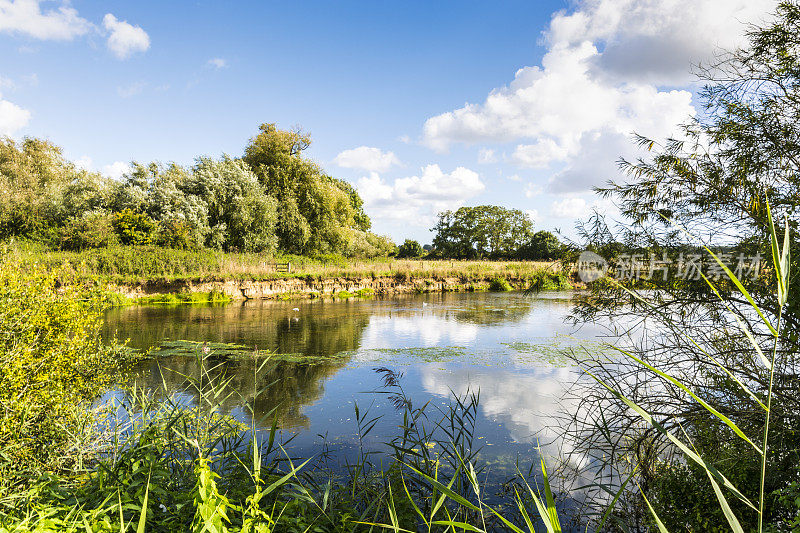 来自reed的River Stour在Dorset